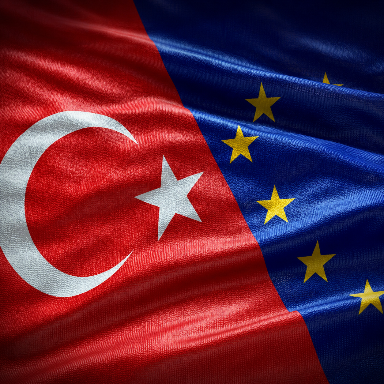AB Projeleri Danışmanlığı